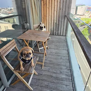 Benji & Milos Appartement Belfast